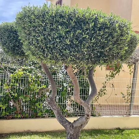 Holiday home Los Alamos Somhome Peniscola